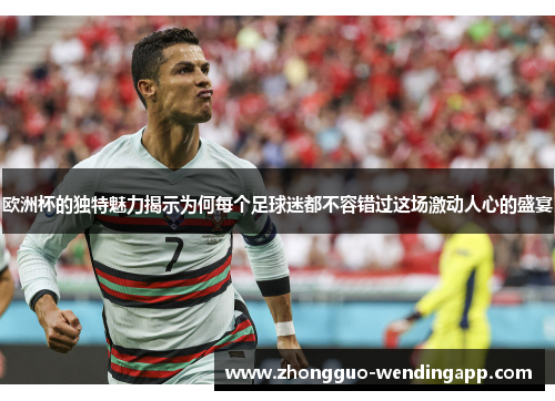 欧洲杯的独特魅力揭示为何每个足球迷都不容错过这场激动人心的盛宴