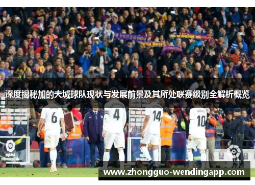 深度揭秘加的夫城球队现状与发展前景及其所处联赛级别全解析概览