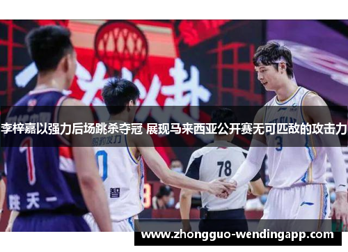 李梓嘉以强力后场跳杀夺冠 展现马来西亚公开赛无可匹敌的攻击力