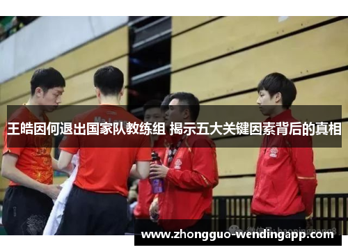 王皓因何退出国家队教练组 揭示五大关键因素背后的真相